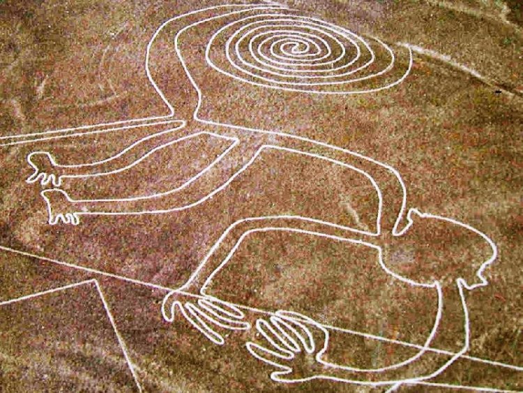 Curiosity between the Nazca Lines