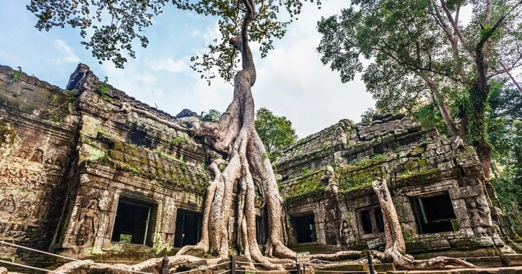 The discovery of the Ta Prohm temple in Cambodia